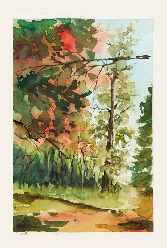 Locker gemalter Waldweg zwischen grünen und rostfarbenen Baumkronen.