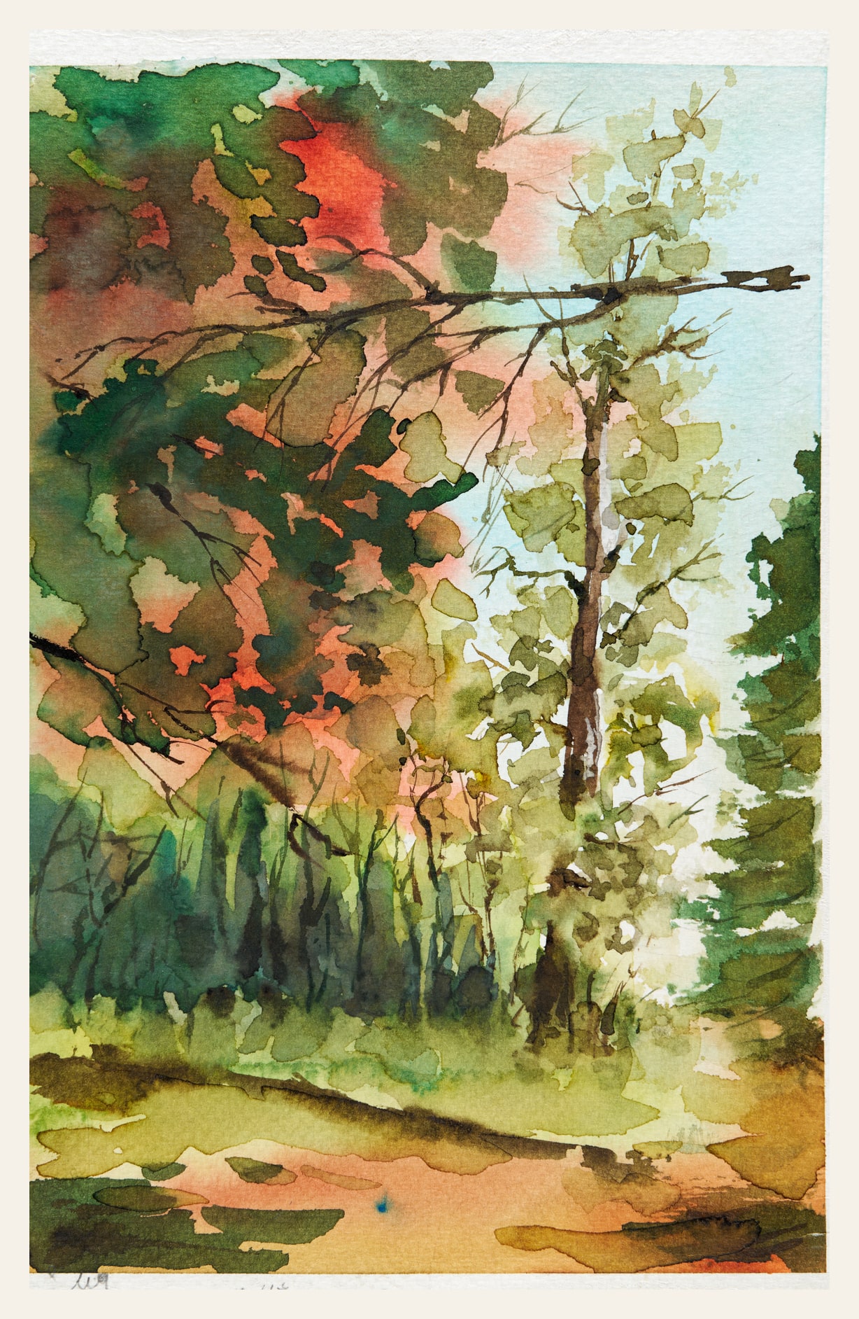 Locker gemalter Waldweg zwischen grünen und rostfarbenen Baumkronen.